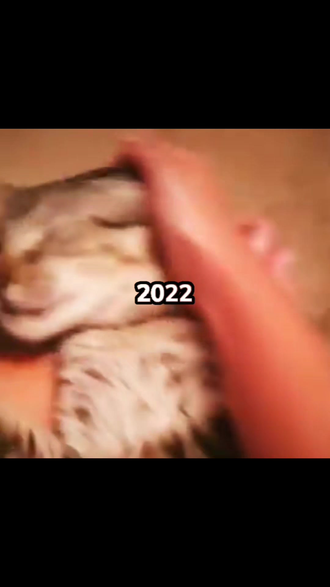 @𝗗𝗮𝗿𝗸𝗻𝗲𝘀𝘀 𝗞𝗼𝗸𝗼𝗮★