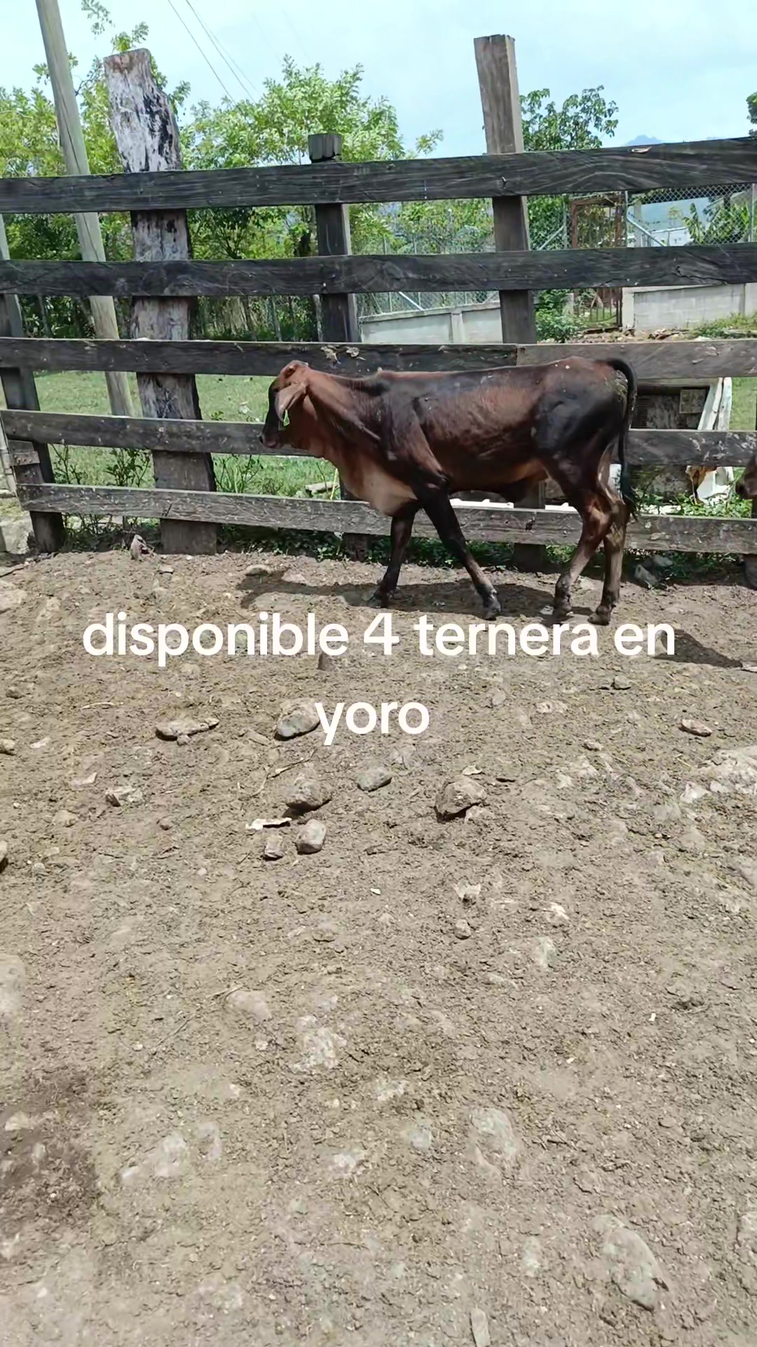 @maykel Mej&iacute;a