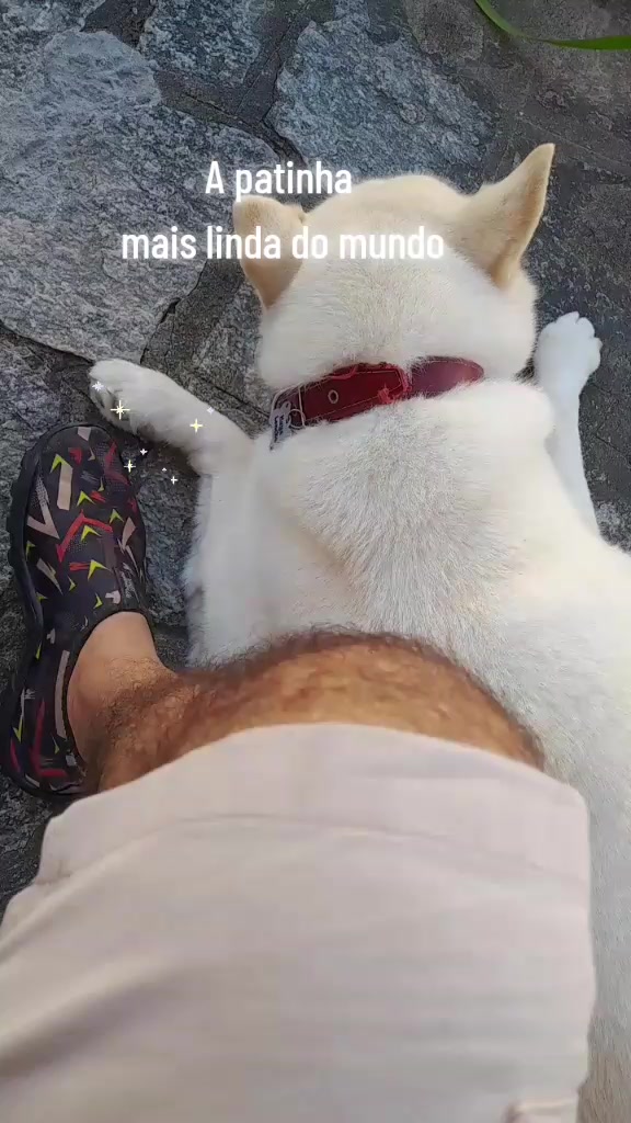 @Sérgio Loncke