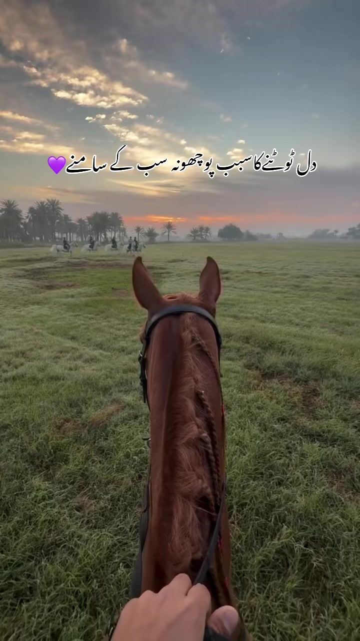 @Gulaal 🦢