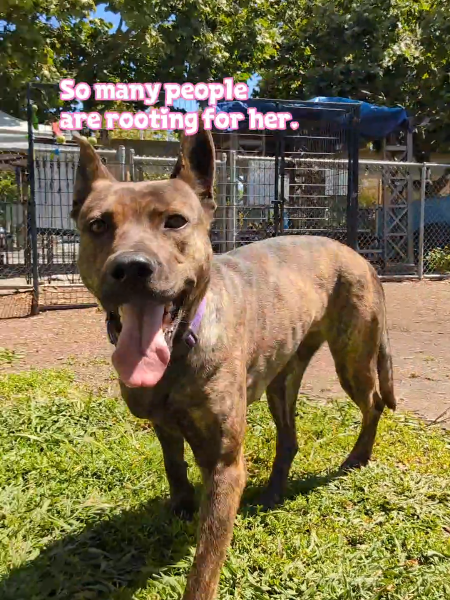 @Oakland Animal Services