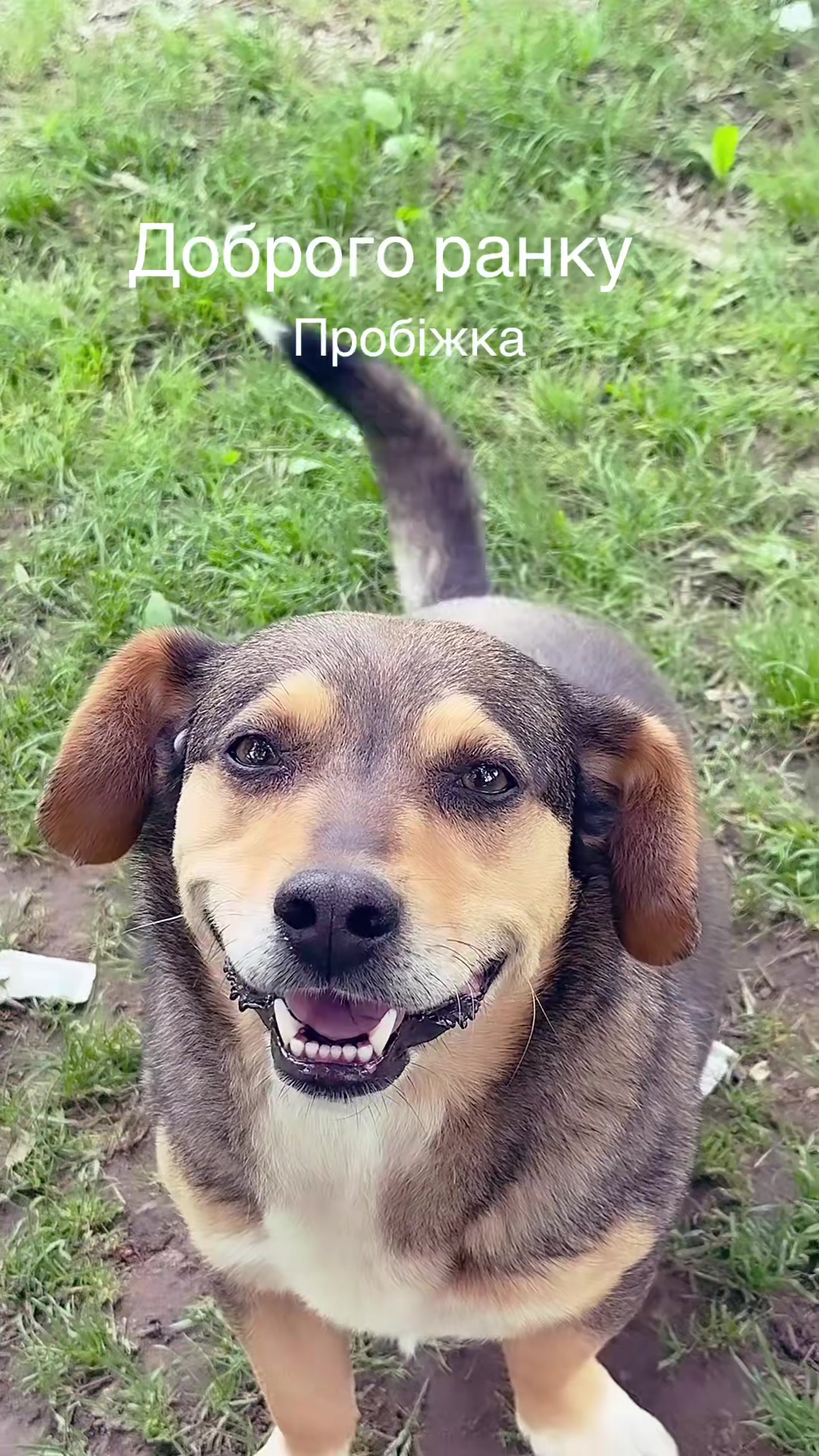 @Волхва