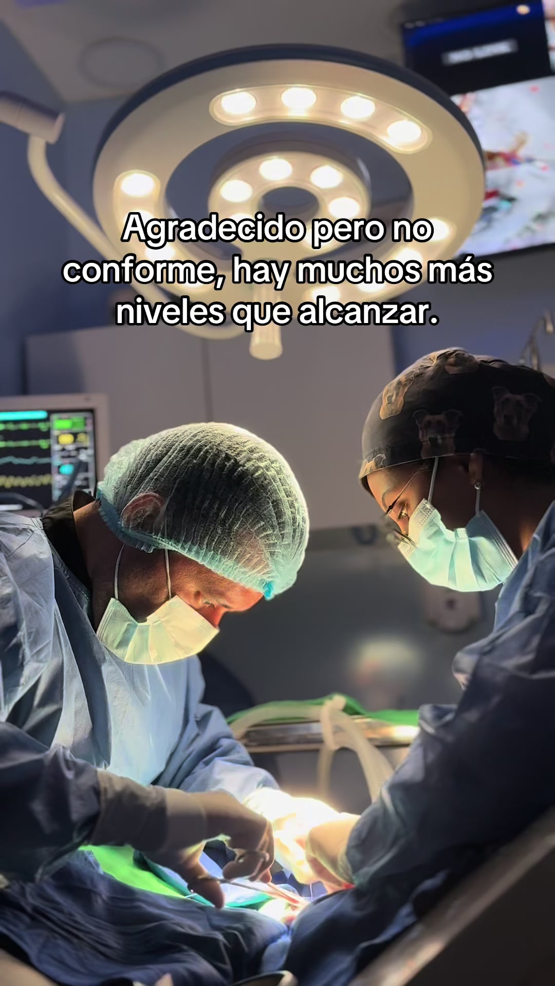 @David Aragundi ⚕️🐾