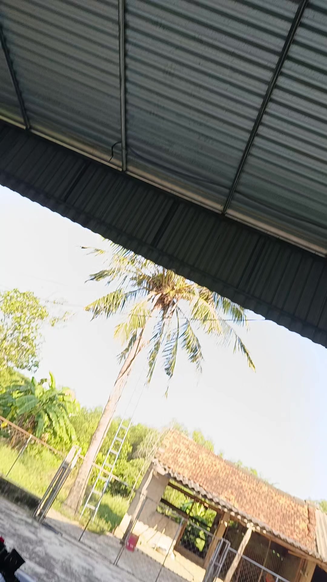 @anh tệ lắm