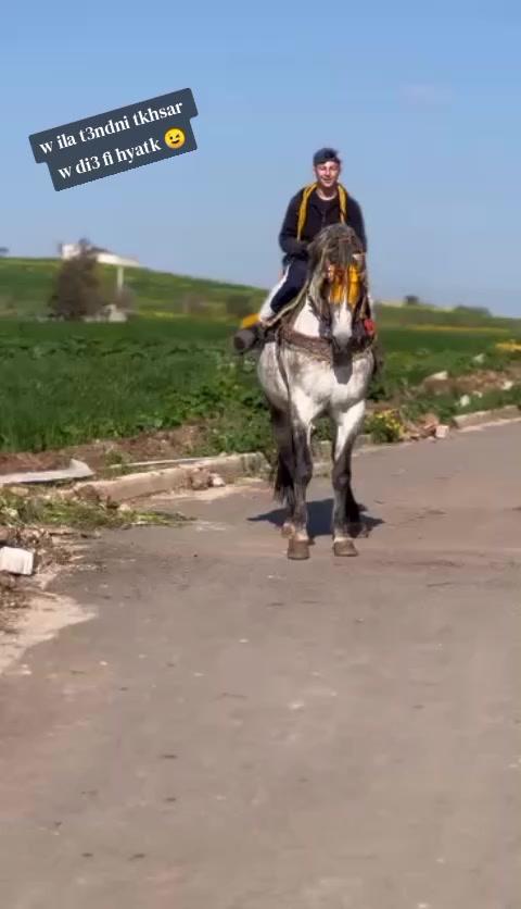 @🔱 𝓐𝓷𝓮𝓼 𝓬𝓱𝓲𝓽𝓪𝓷𝓪💰🐺