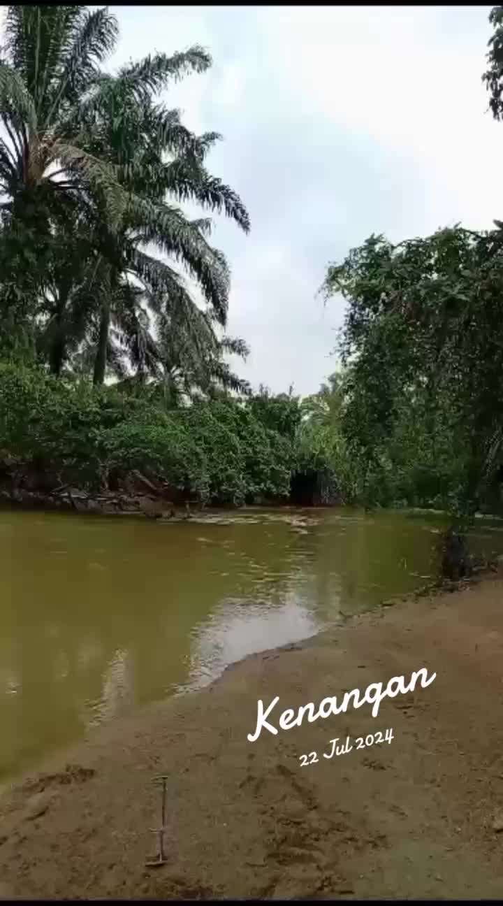 @Toman_Rimba_ll