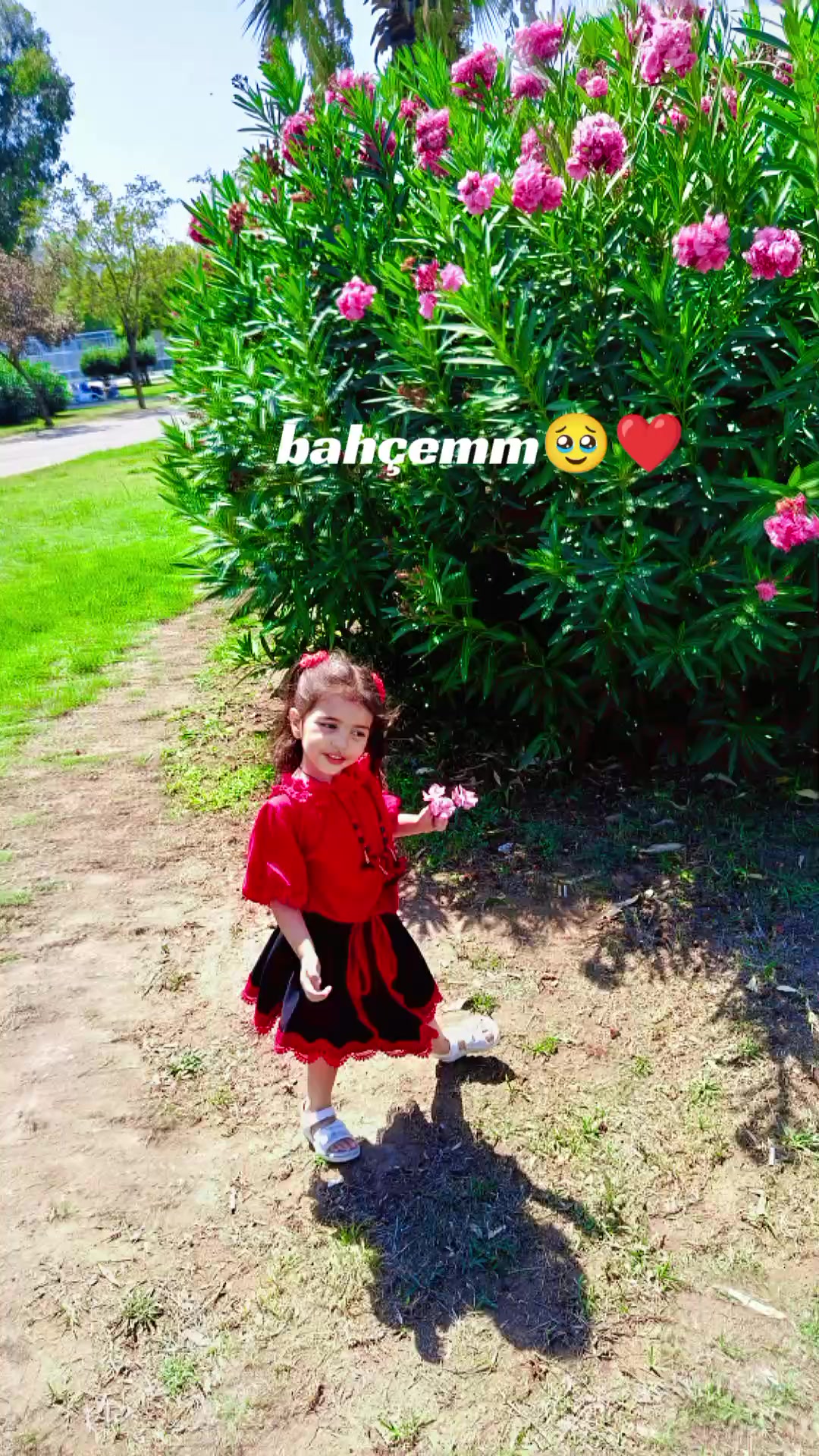 @🦋Fatma_Zehra🦋