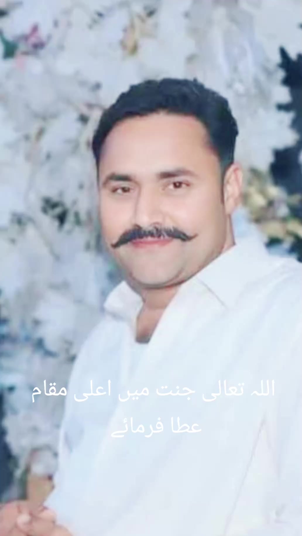 @Asadali Asadali