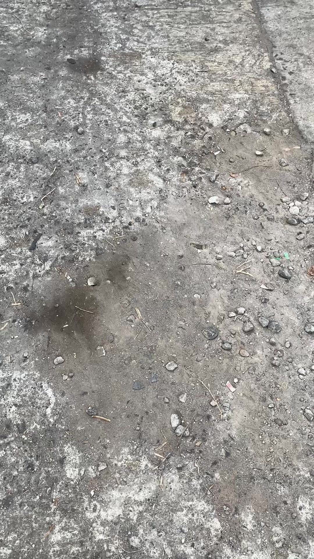 @AlberttV9