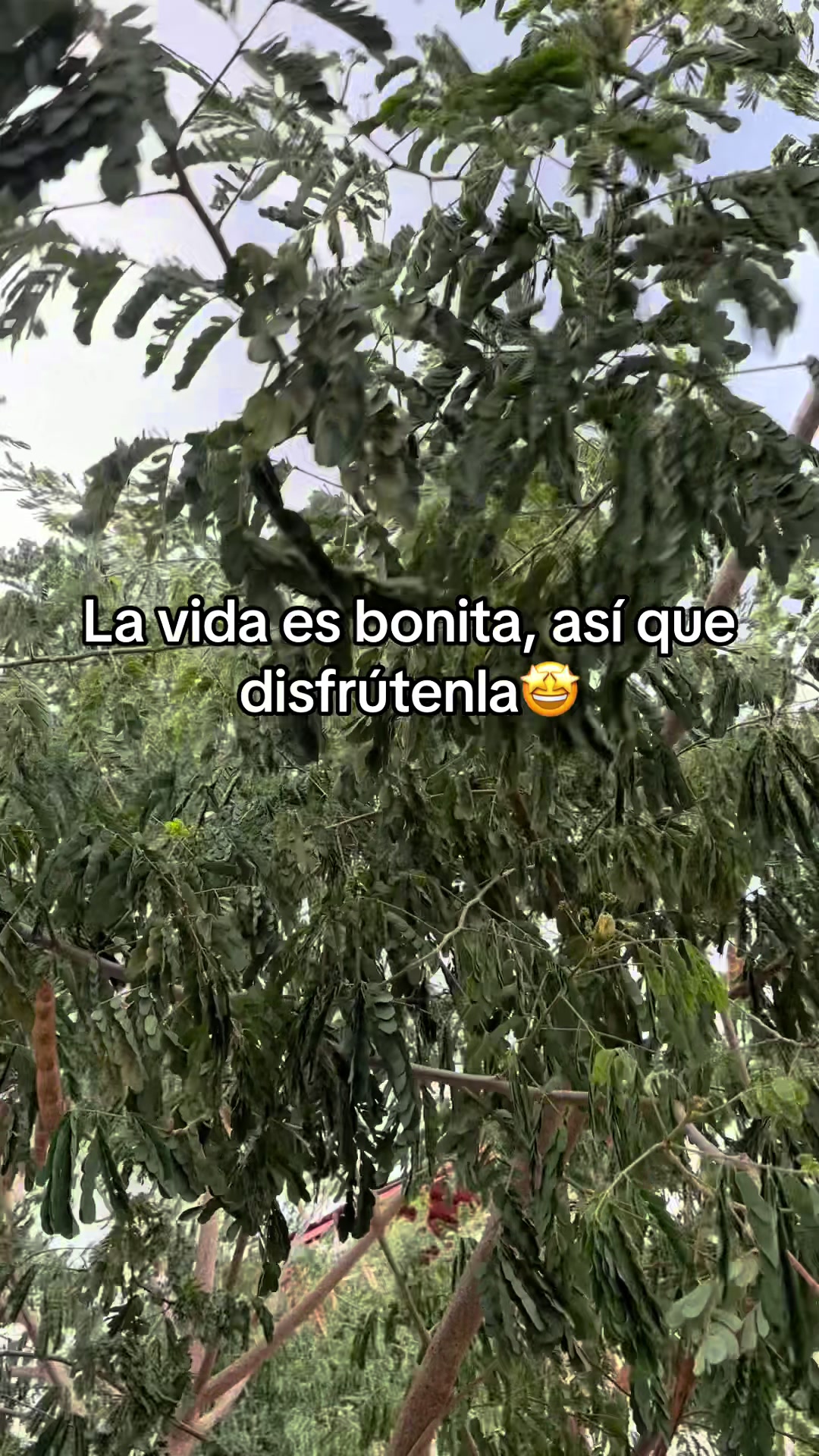 @MONSE CASTILLO