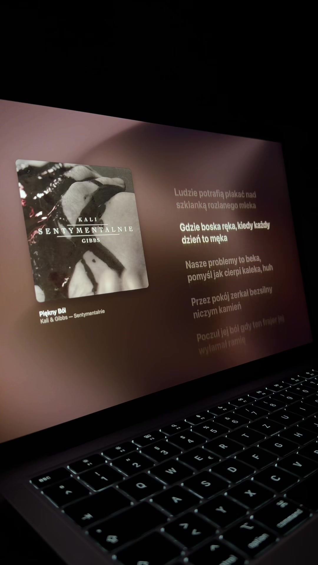 @polisch vibesongs