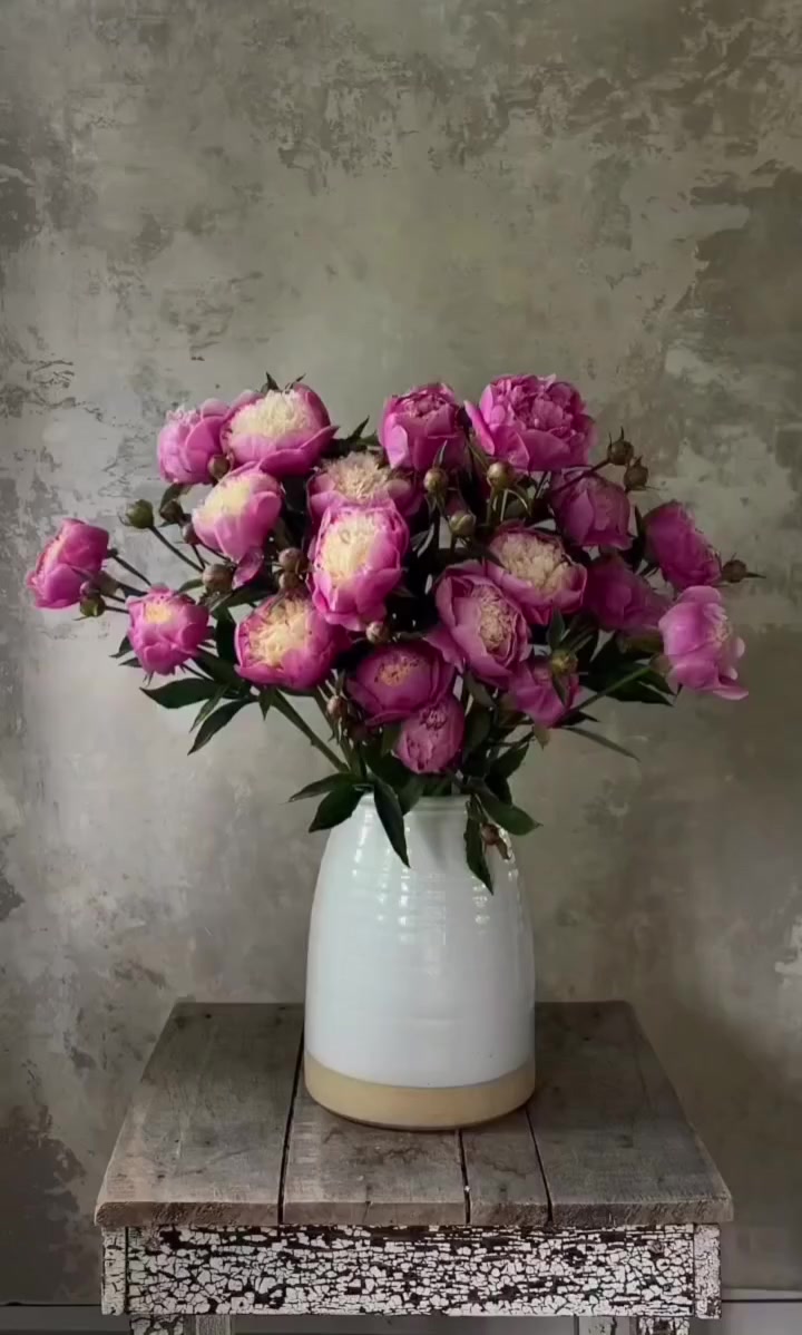 @🇰🇿🌺🌸Нᴀᴛᴀᴧья🌸Kz.16_ukg👋🤝