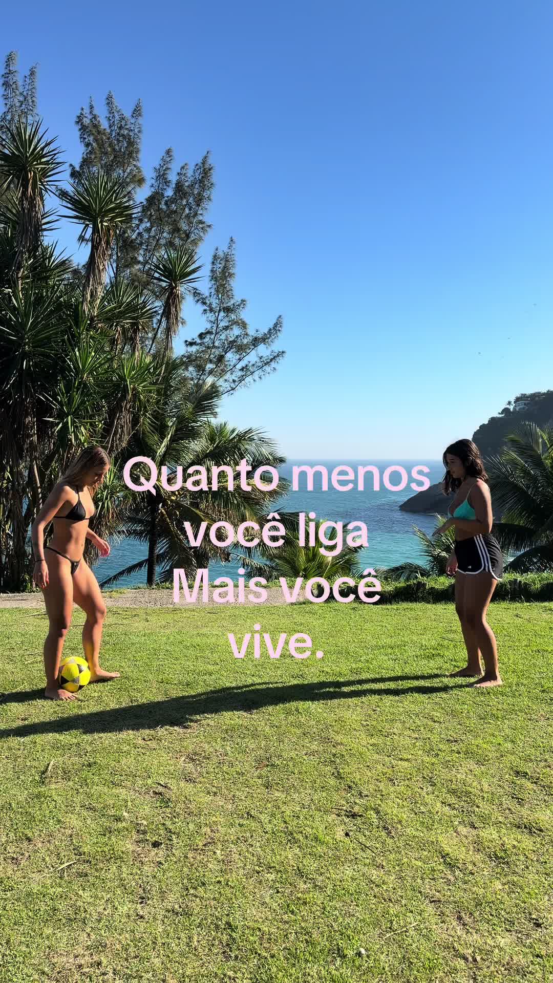 @tozetto