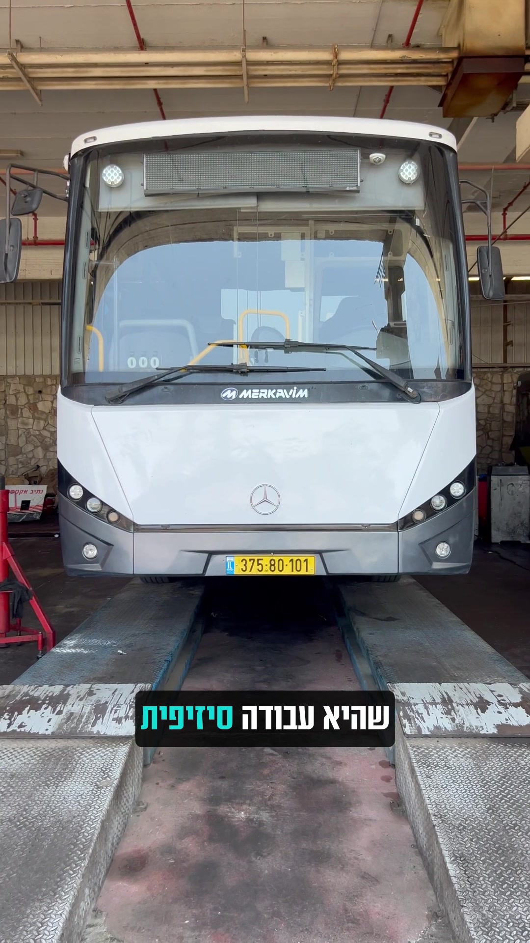 @מיטל יפרח חדד