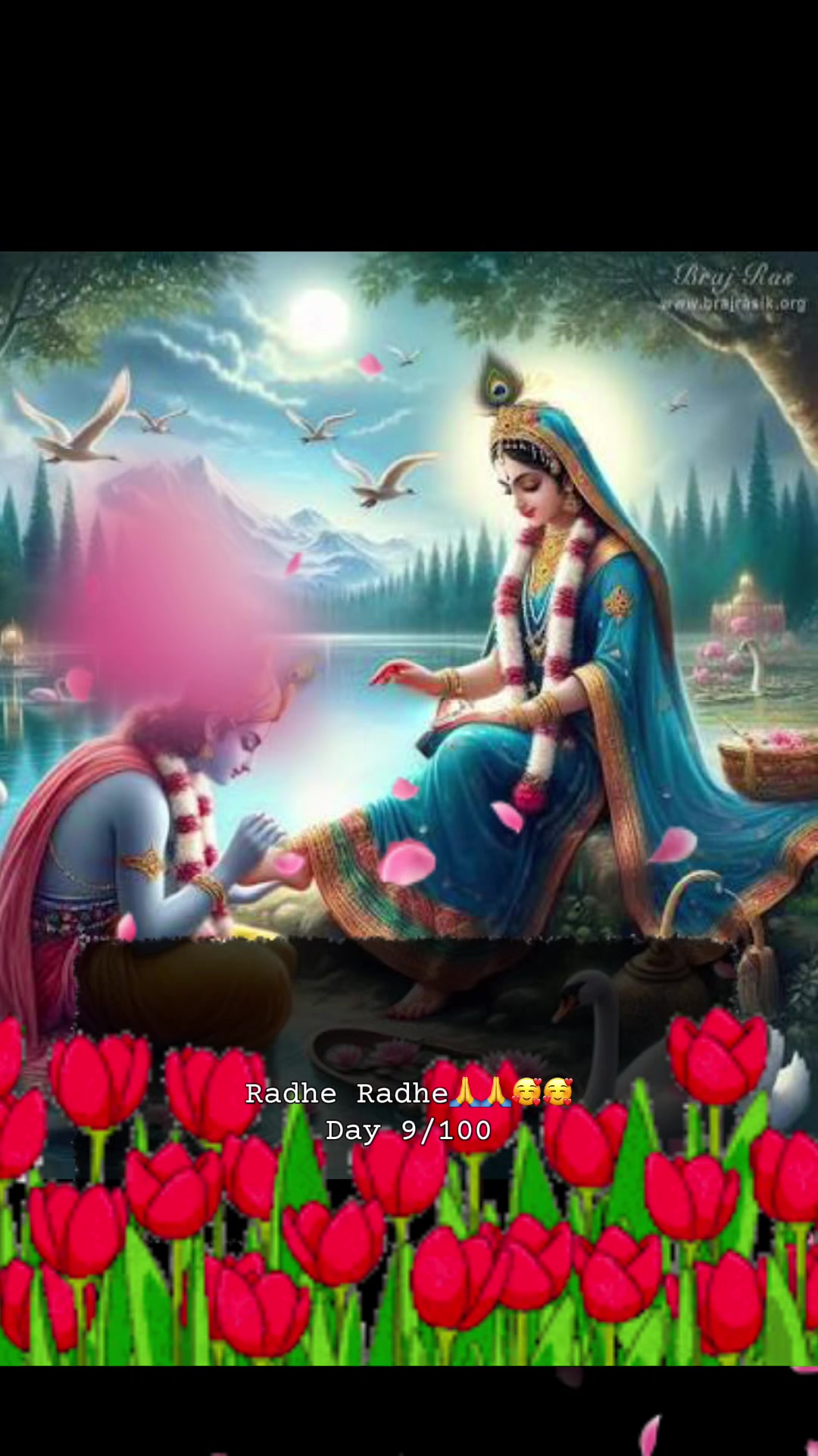 @RadheKrishna🦚🦚🙏🙏