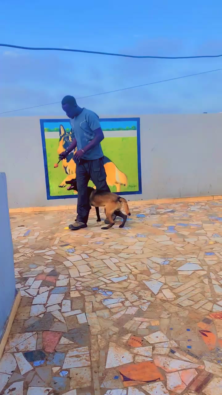 @G.I.C.N 🇸🇳🐾Ma&icirc;tre Weuz🐕&zwj;🦺