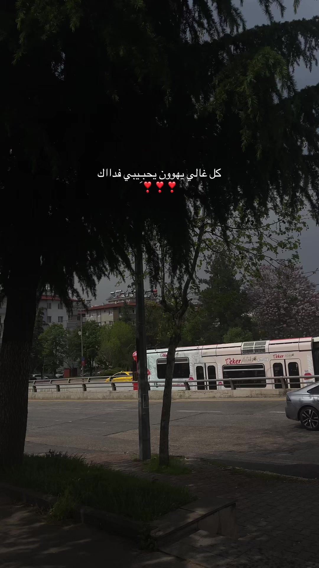 @,ِميري🦉