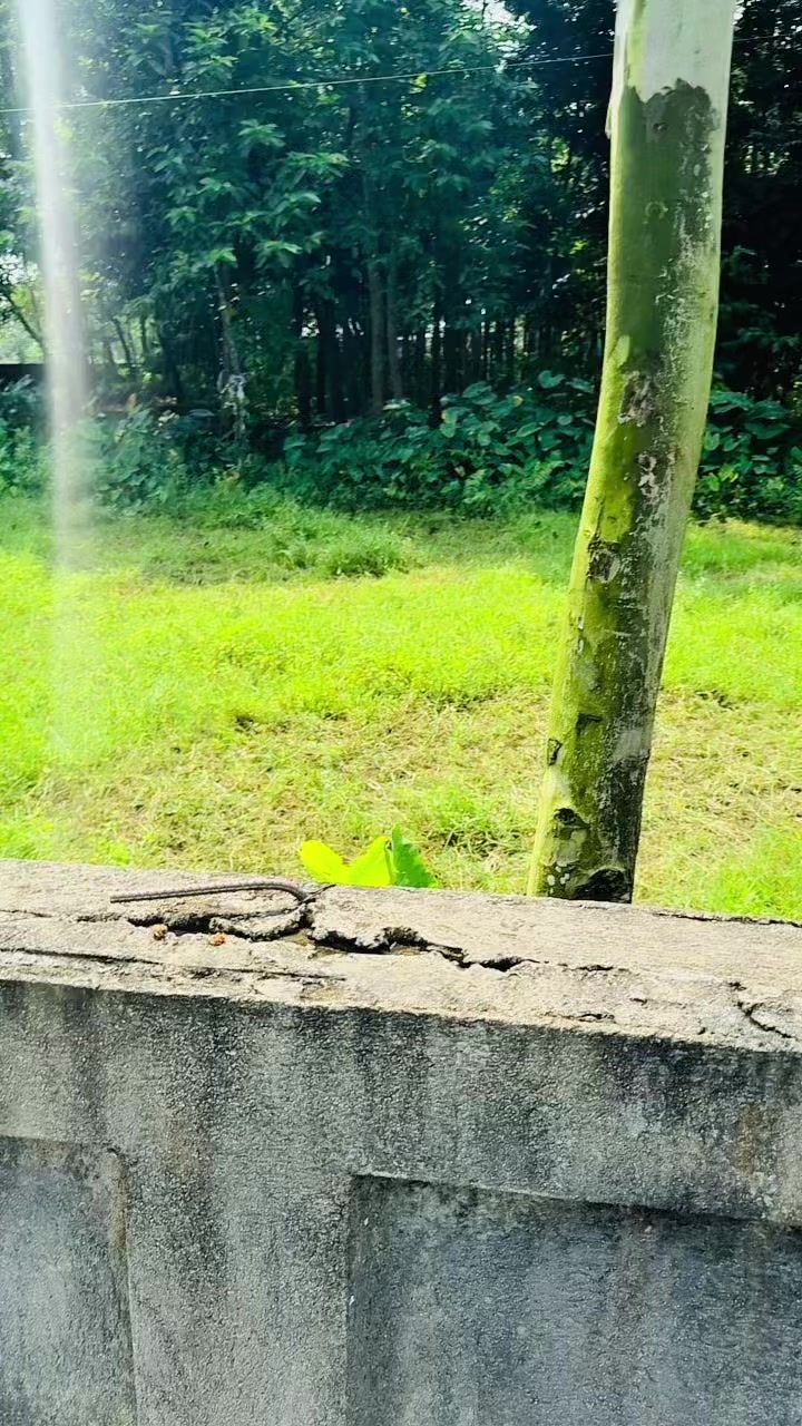 @🥰𝓢𝔂𝓵 ᭄𝓘𝓶𝓻𝓪𝓷✿𝓑𝓸𝓼𝓼࿐