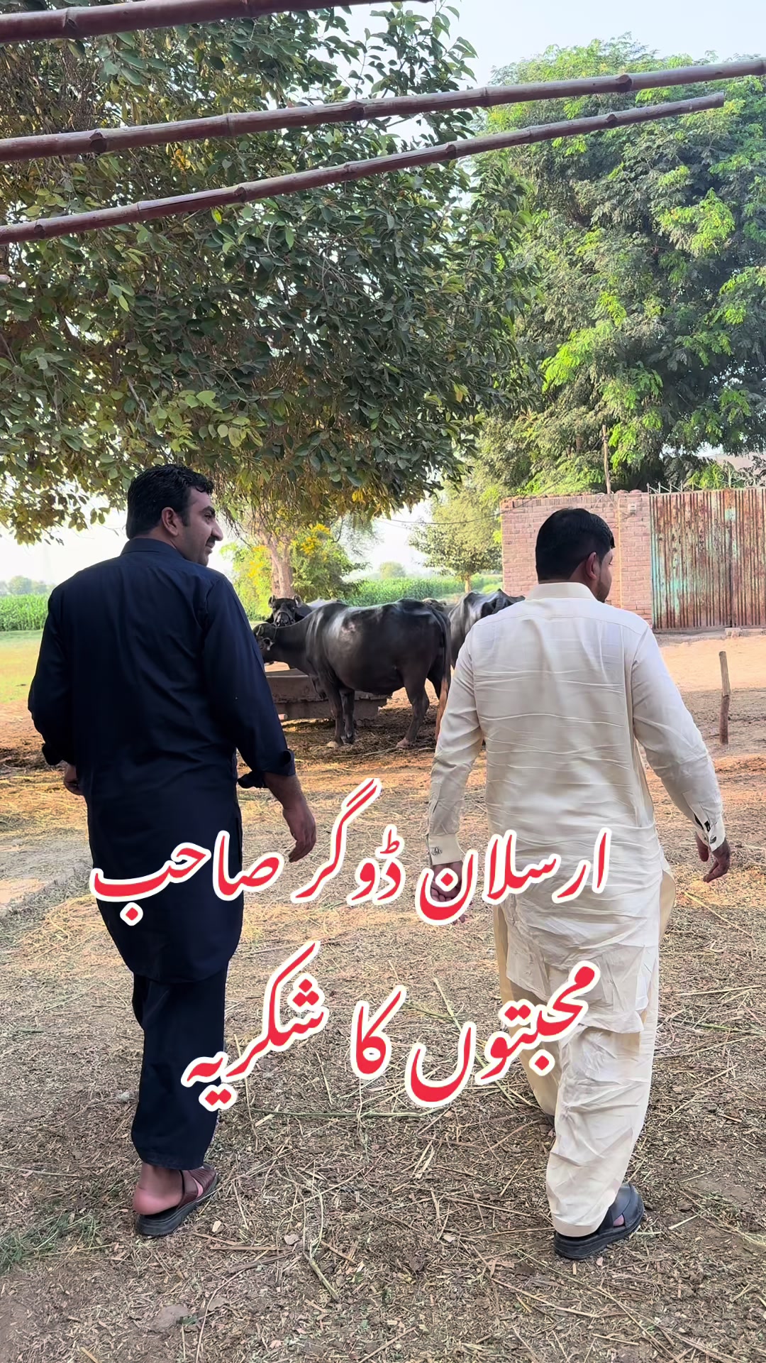 @Dr.Mohsin
