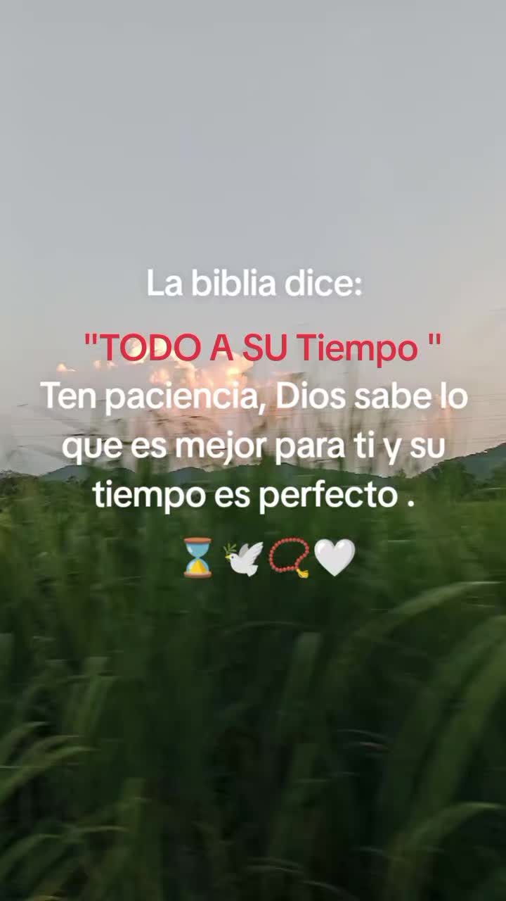 @Maya Ortiz