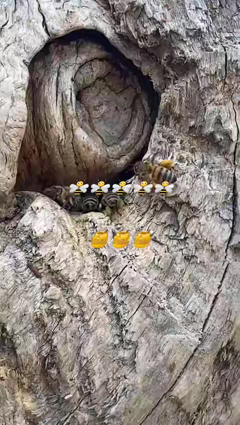 @İsmail Genç