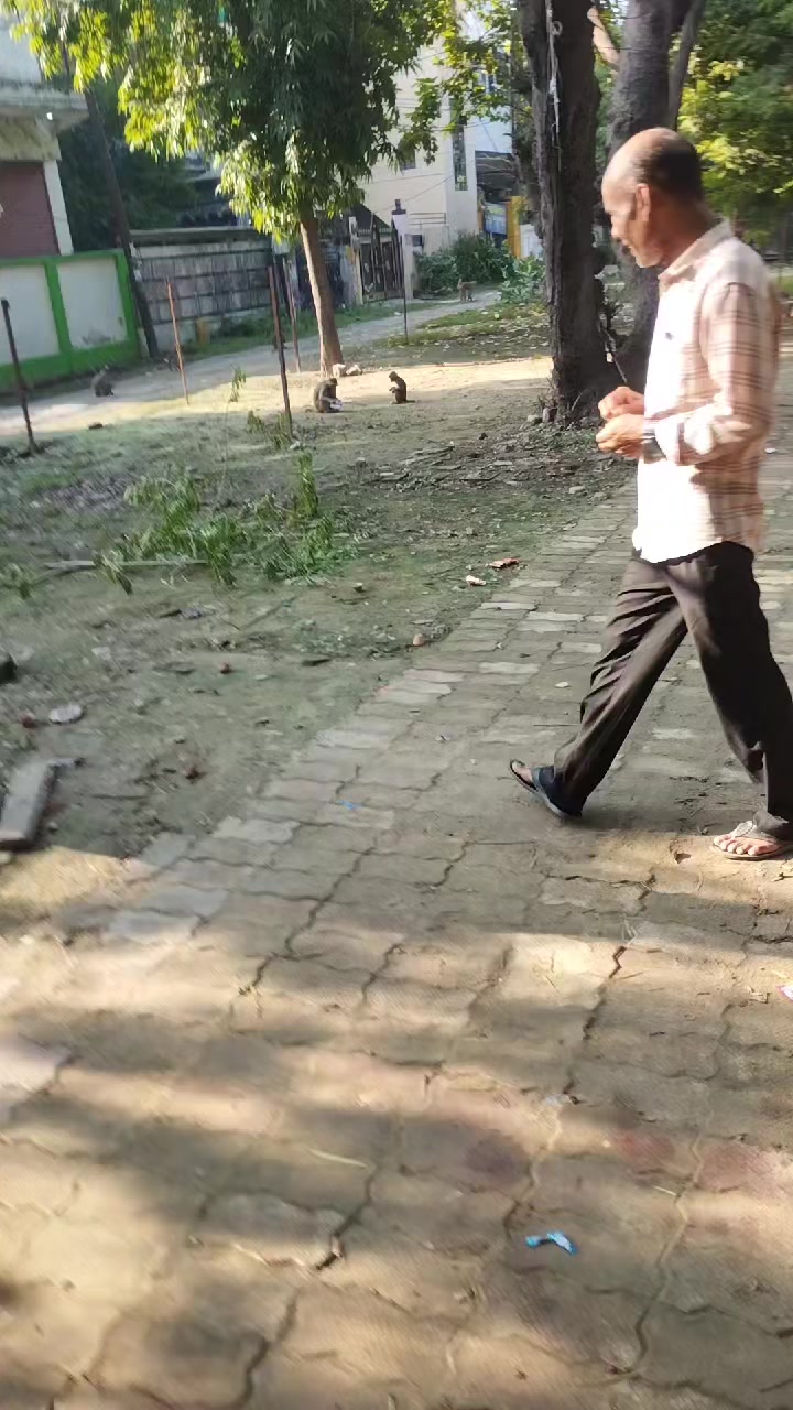 @Bhakta Shahi