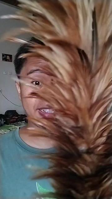 @MisterOw