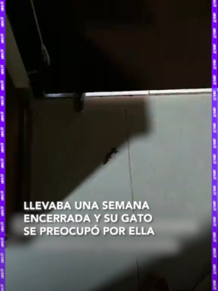 @RED UNO DE BOLIVIA