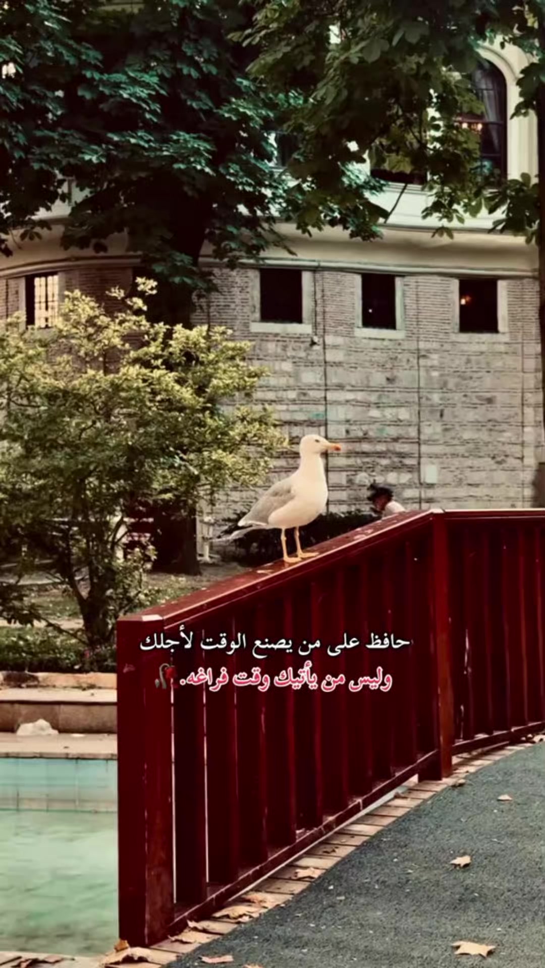 @وتين آلروح