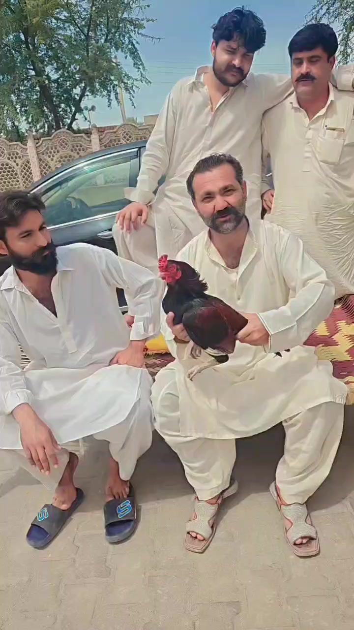 @عمران _خان_ وتہ خیل