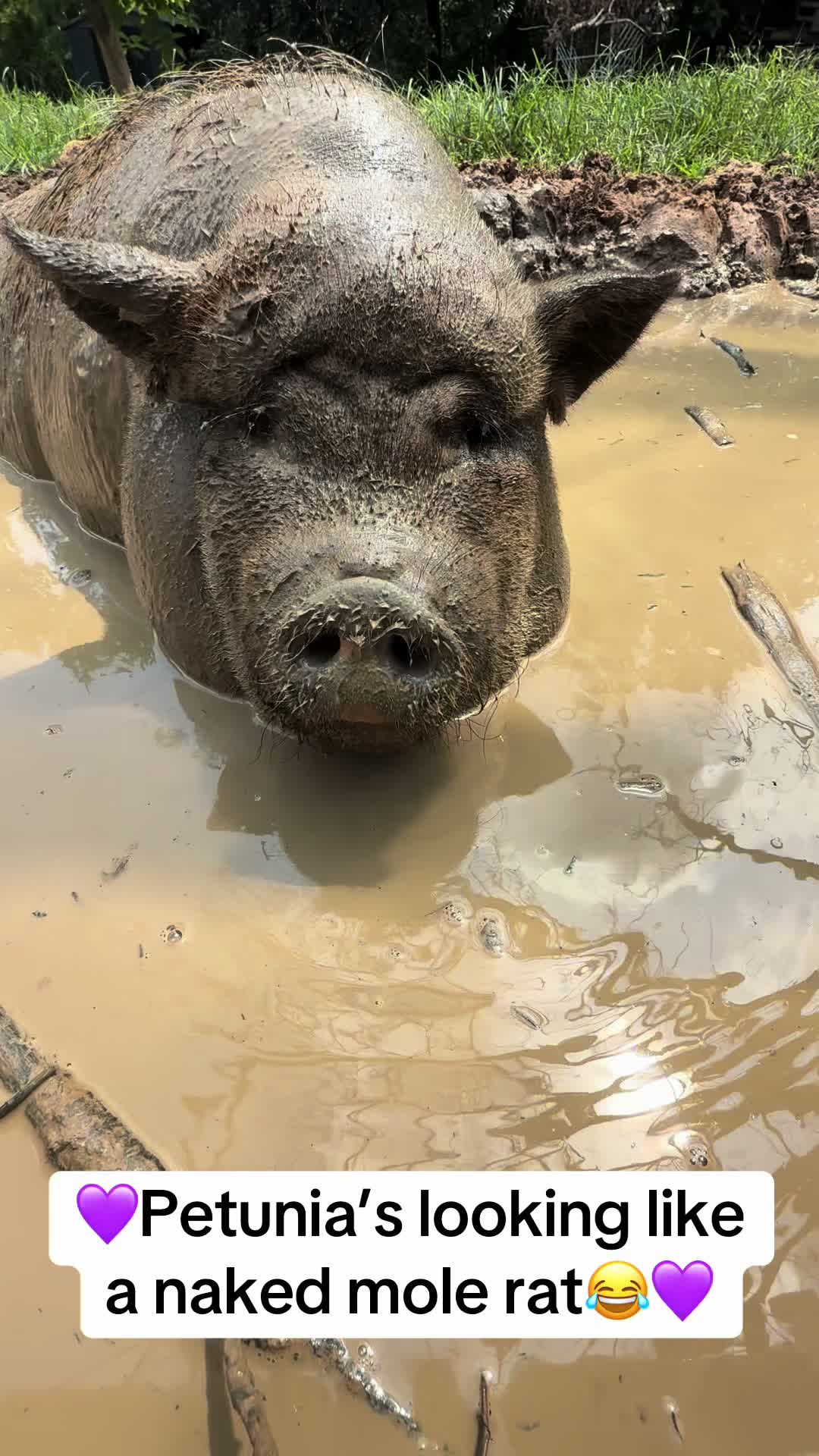 @merrickfarmstead