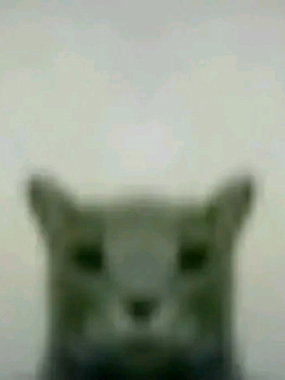 @gicamxv_