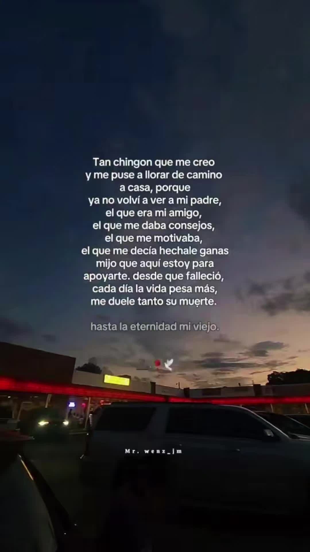 @manueldejesus502