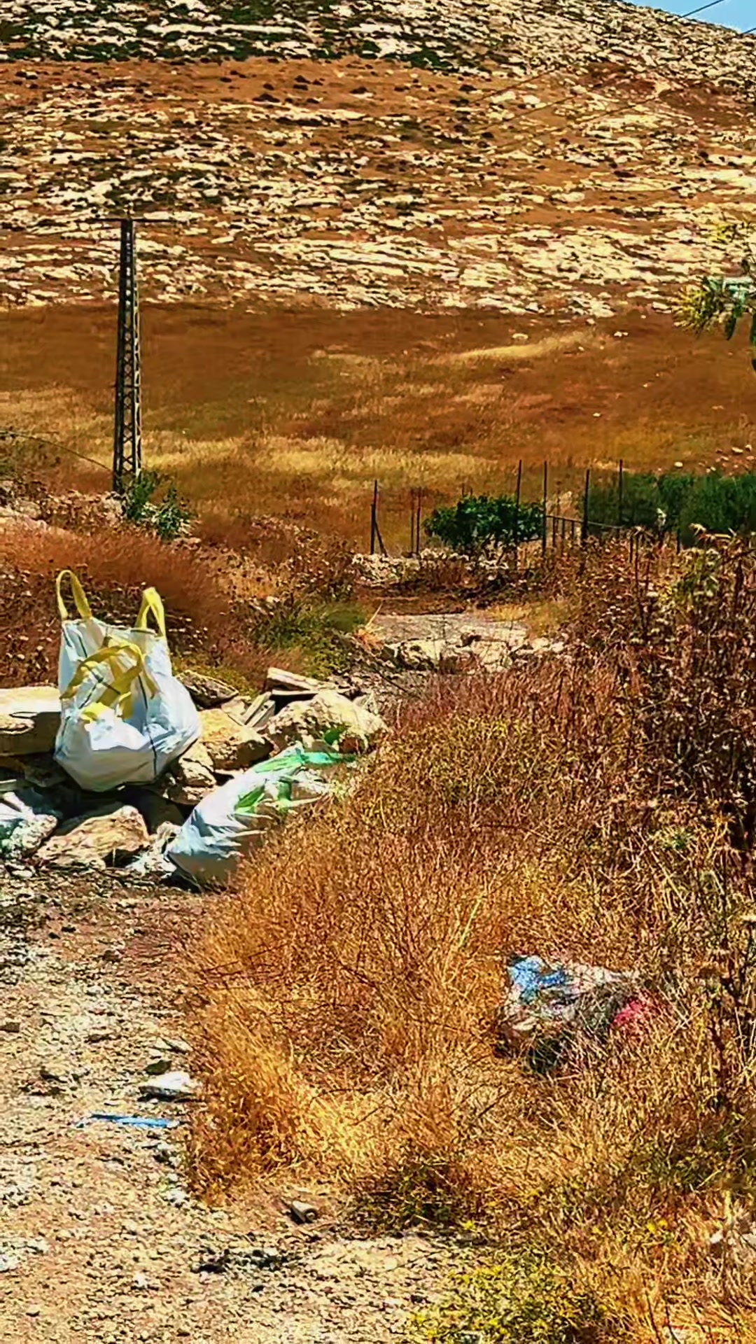 @غليص دواس الظلمة الصقر الحر🦅