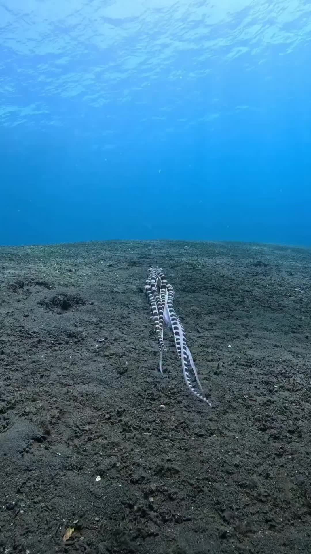 @💫NM💫
