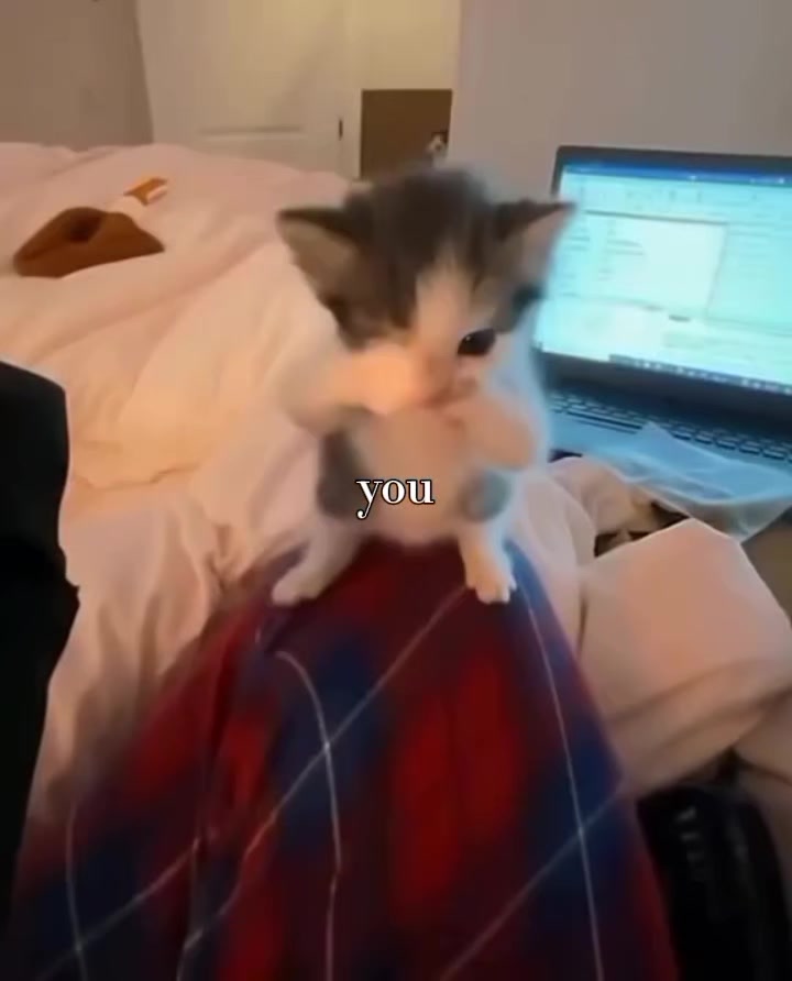 @ᶻ 𝗓 𐰁 .ᐟ