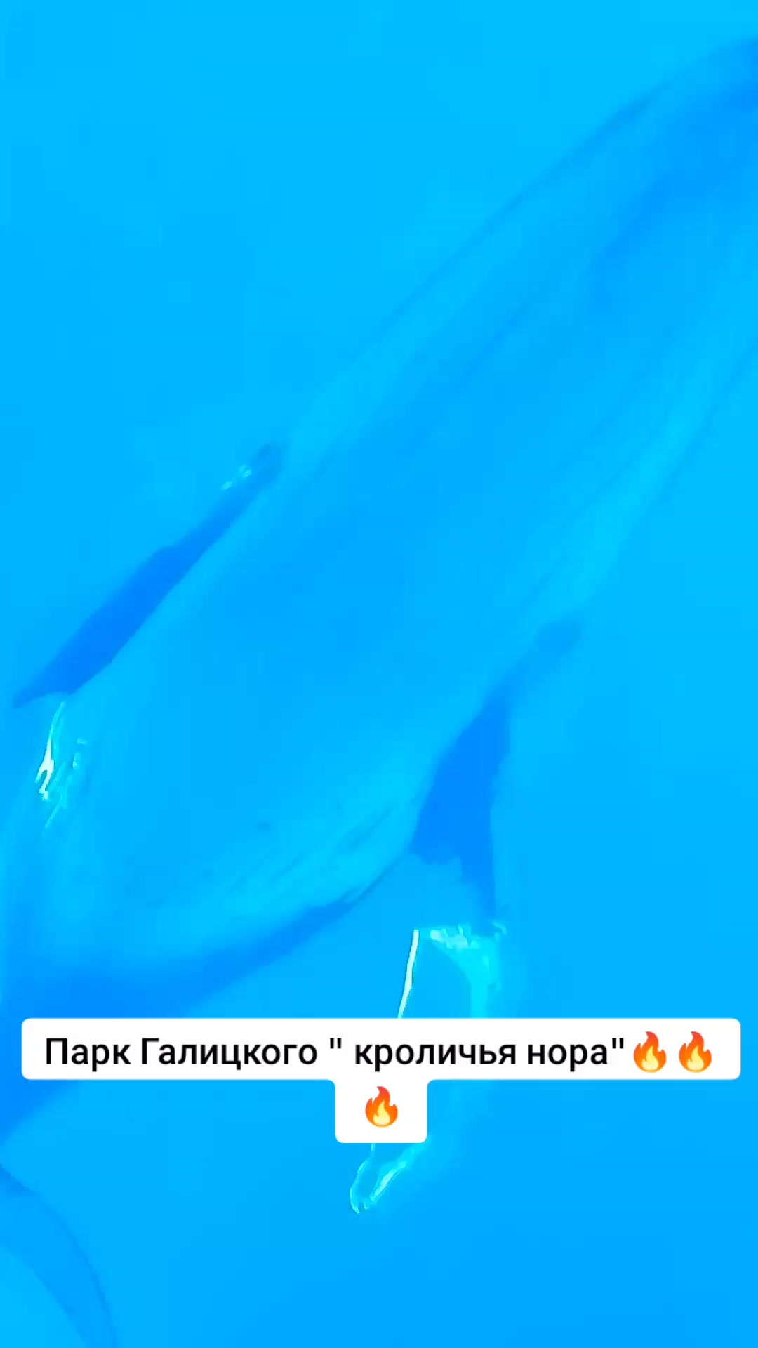 @Ирина