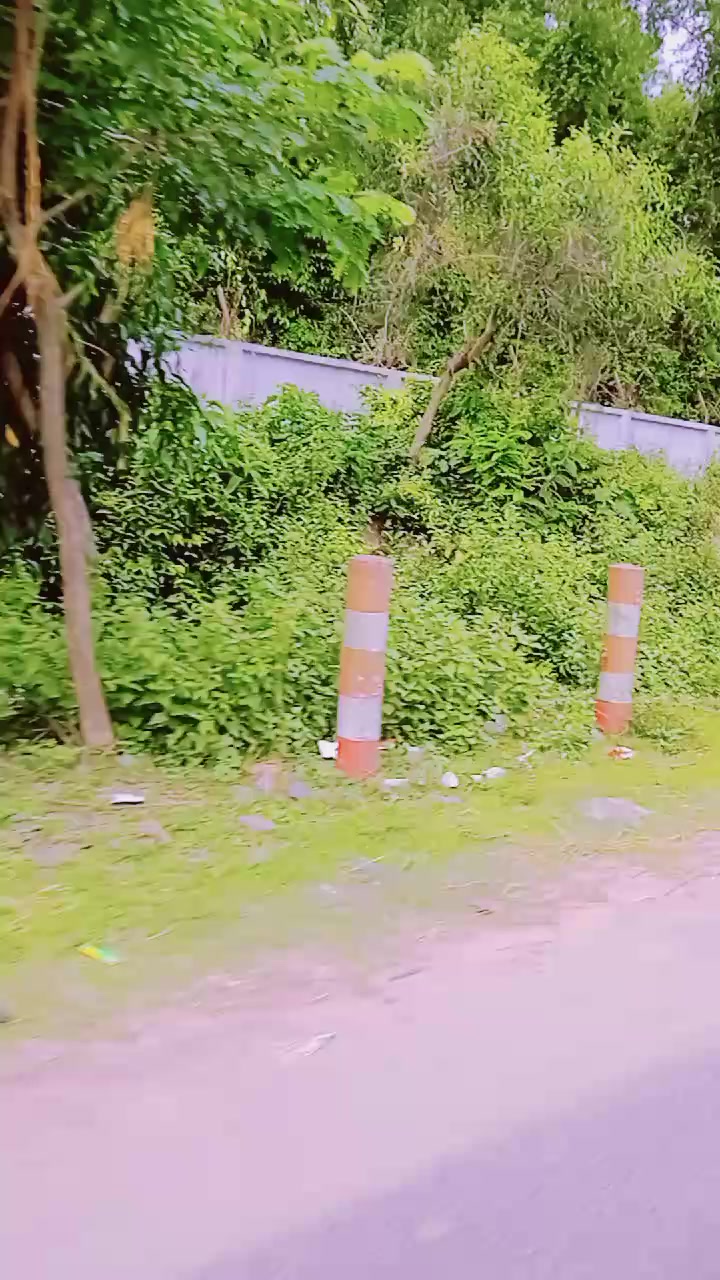 @🦋🌺প্রজাপতি🌺🦋
