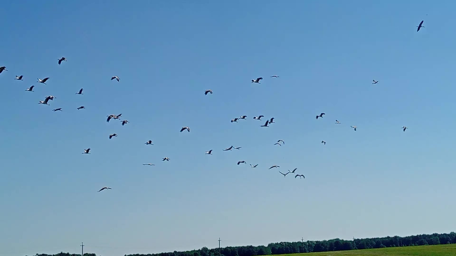 @Регина