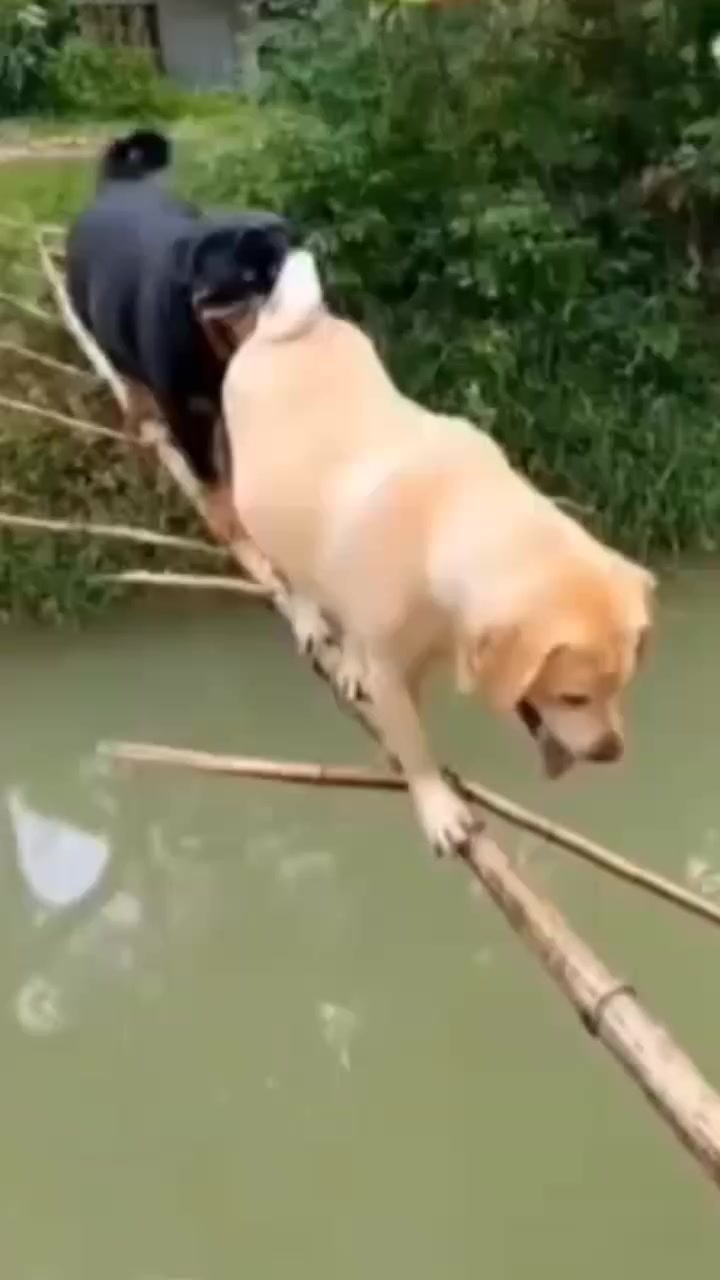 @Anuradha94