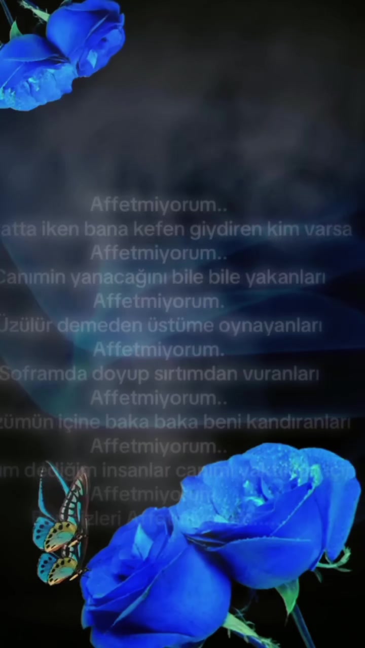 @༺᳀&Ccedil;IĞDEM᳀༻