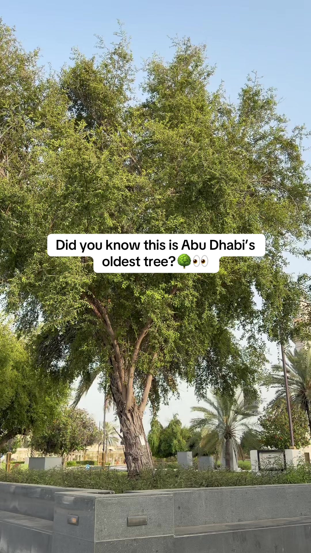 @Yalla Abu Dhabi