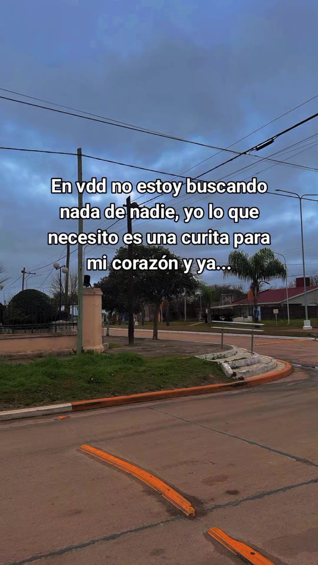 @Solee loza