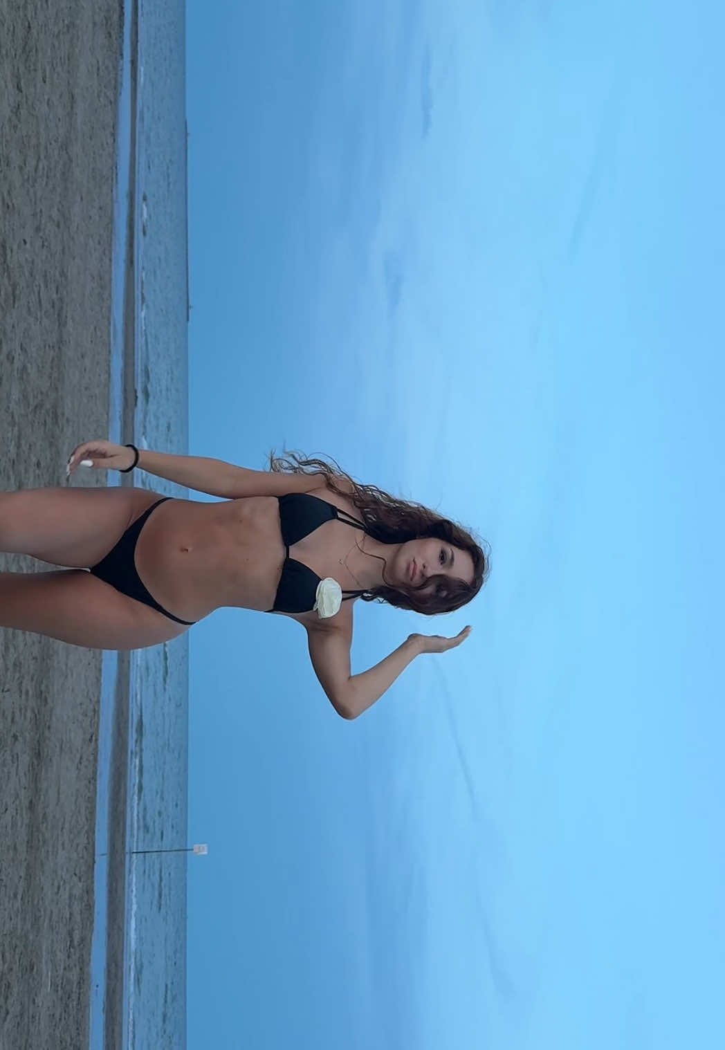 @Stellaa
