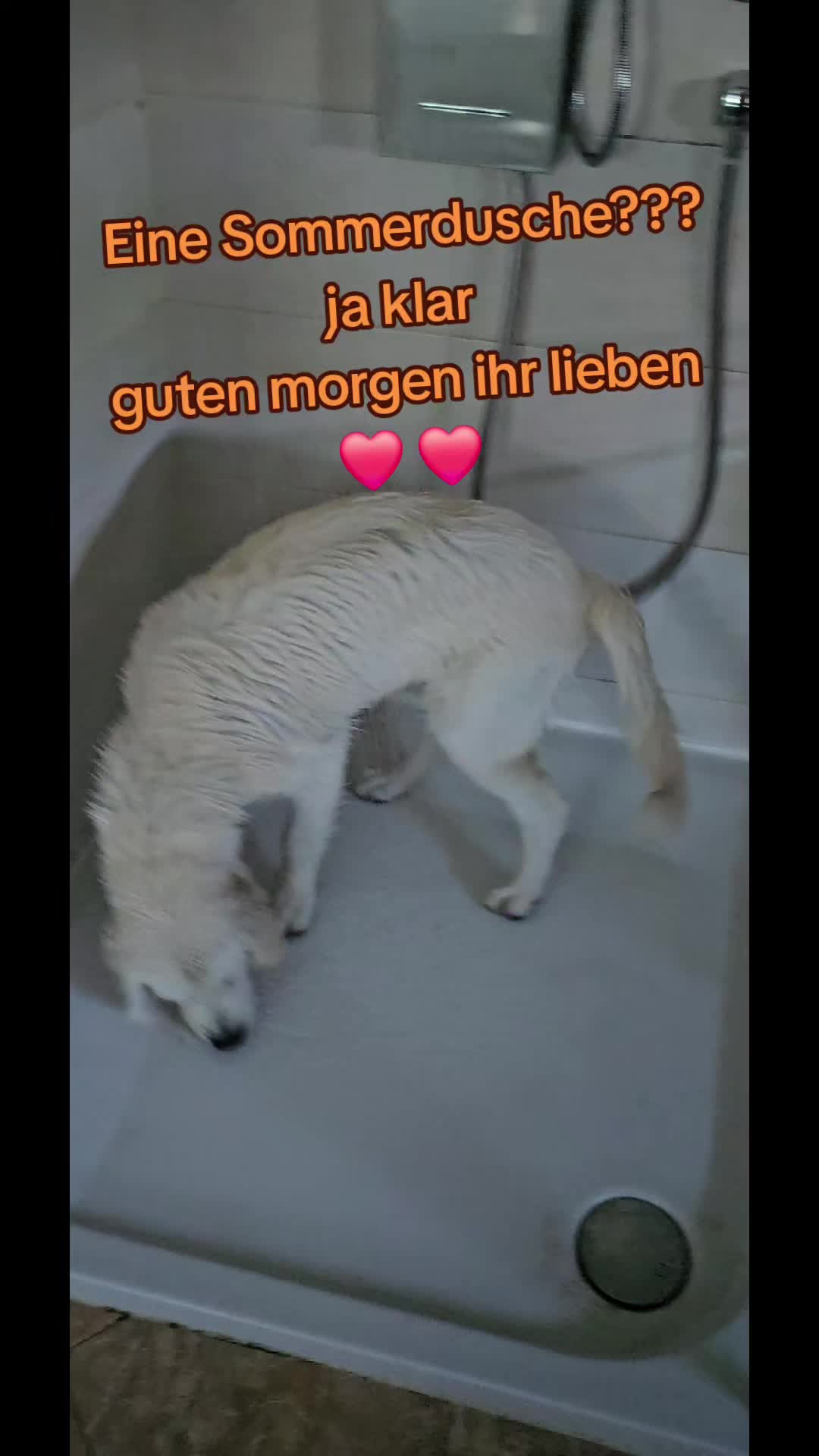 @Jennifer💕Keyla💕Angel