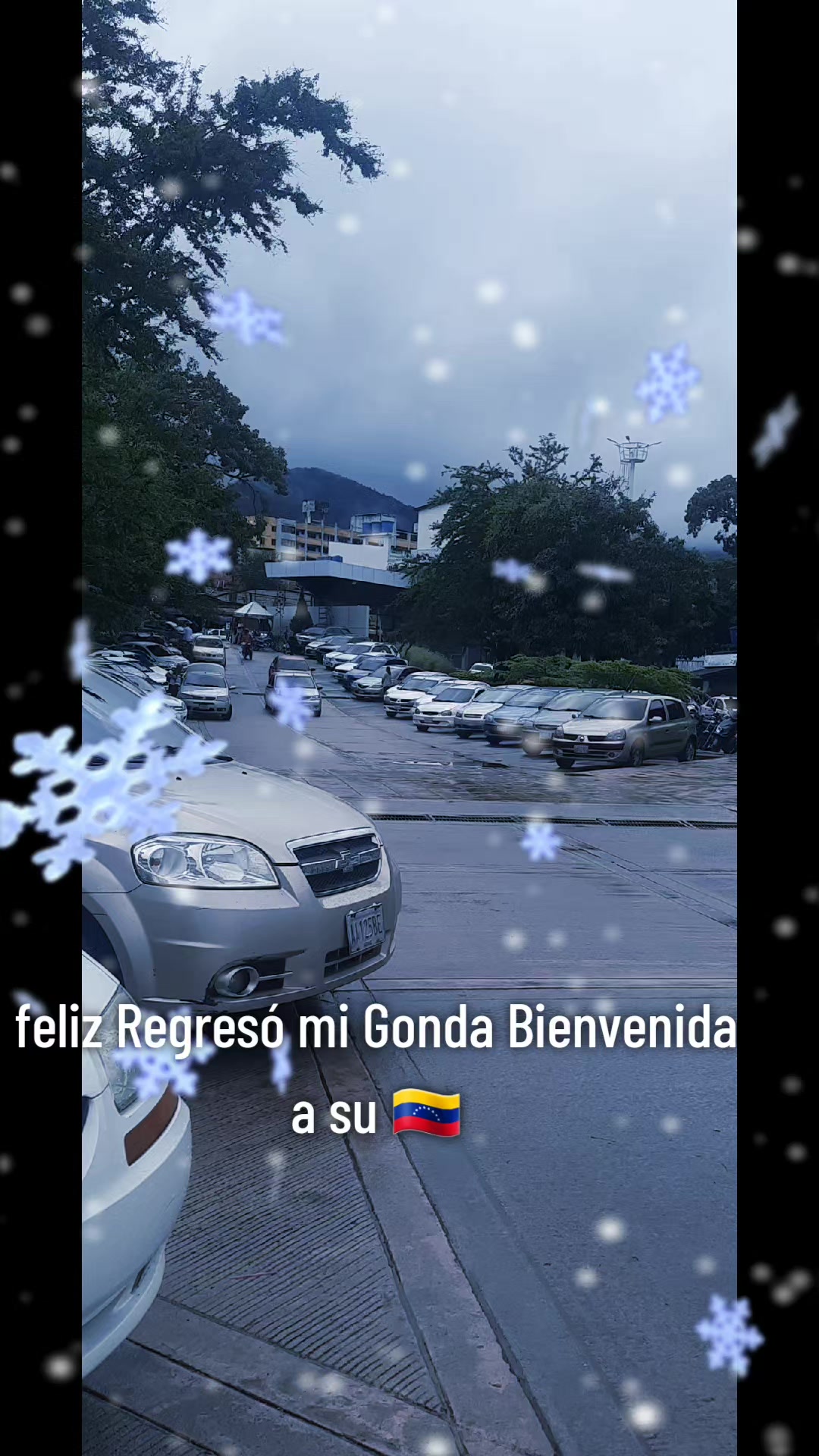 @⚡️🍀La Gocha 🇻🇪⚡️