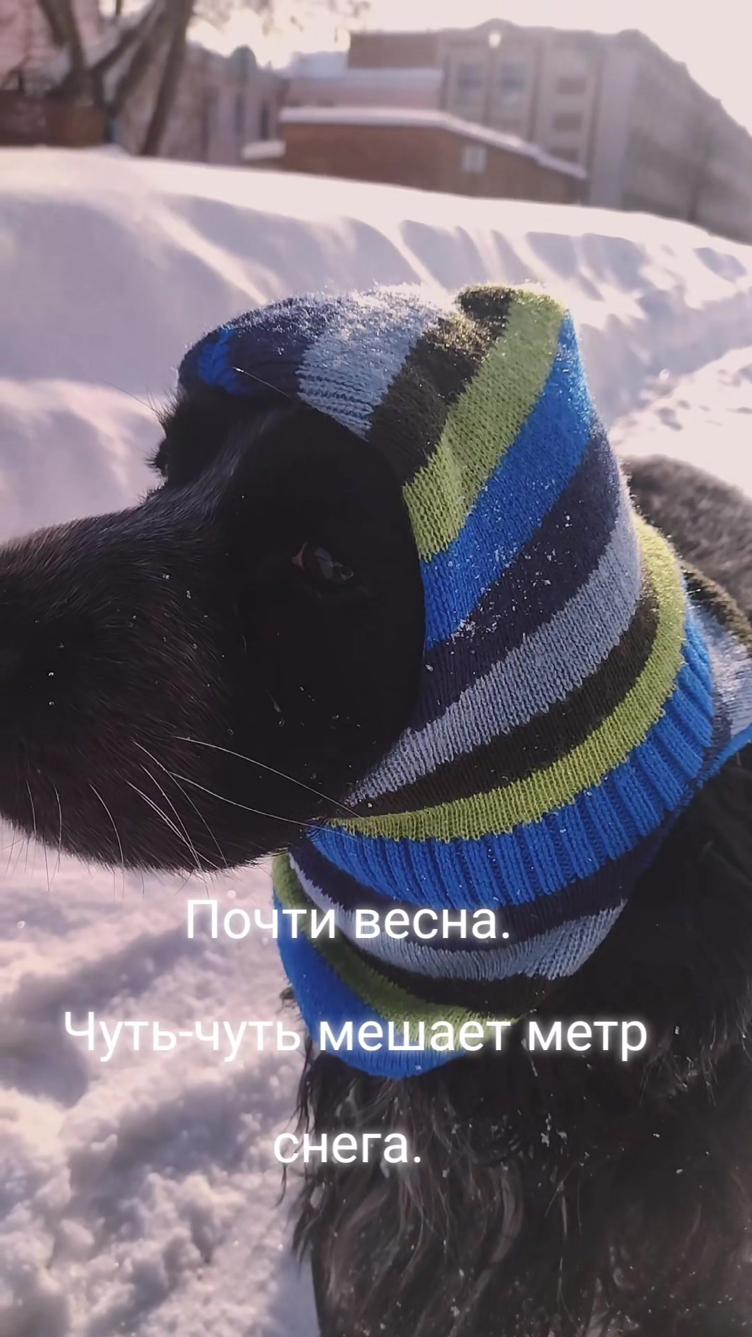@vikalisa05