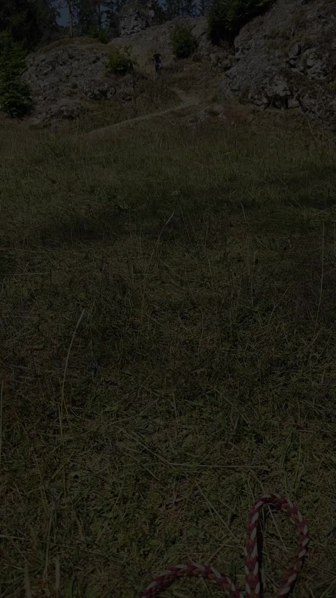 @KMCMDM