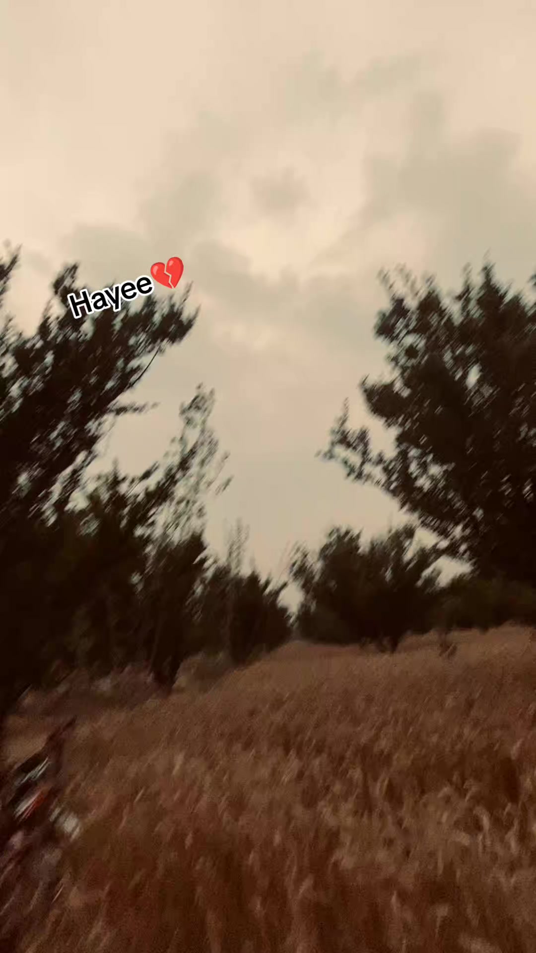 @یا ر با ش      🦅🔥