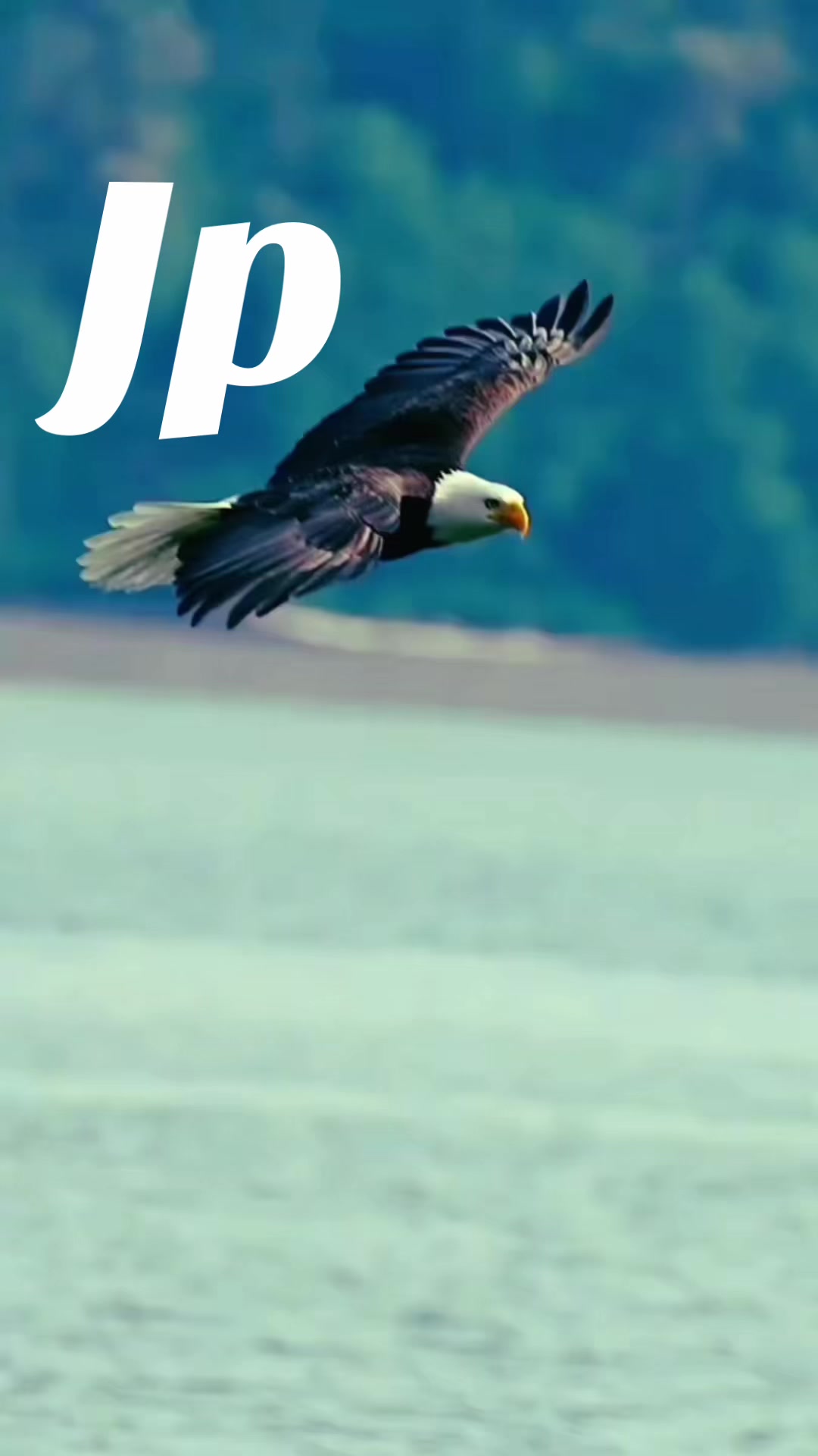 @💪Jp💪